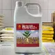 [意足] (抗逆境專家) 興農 善玉肥2號 4L 菌根菌 微生物肥料 液肥營養劑 開根 多肉 蕨類 玫瑰 塊根 虎尾蘭