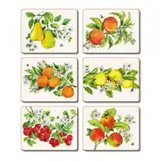 Country Kitchen Botanical Fruit Cinnamon Cork Backed Drink Coasters Set 6