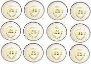 SG Cricket Ball Test White 12 Ball Set 100% original Leather