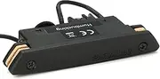 Fishman Rare Earth Humbucking Soundhole Pickup