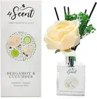 Reed Diffuser Set 6.7 Fl Oz with Preserved Gypsophila (Baby'S Breath) and Artifi