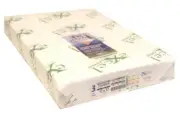 Excel Carbonless 3-Pt Fwd Paper (Wh/Yl/Pk) 11" x 17" (232064) - 1 Rm (167 Sets)