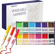 Washable Markers Bulk, 12 Colors 240 Count Bulk Markers, Broad Line Markers Bulk for Class Classroom Set, Back to School Supplies for Teachers, Markers Size for Kids, Ages 3+ Bulk Pack