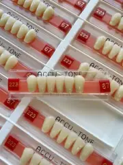 Acrylic Resin False Teeth Accu-tone Anterior lower A3/67-223 dentures box 120pcs