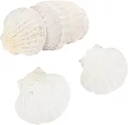 10Pcs Natural Scallop Shell Plates for DIY Art Projects Unique Food Serving Trays Decorative Shells for Home Decor and Crafting Lightweight and Durable