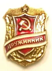 Badge USSR "ДРУЖИННИК" original Voluntary Russia Combined Shipping