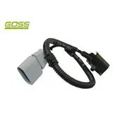 RAE Camshaft Position Sensor - SC499