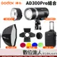 GODOX 神牛 AD300PRO＋ADR13反射罩＋BD10 專用四頁＋ADS60S柔光罩＋CB17拉桿箱 數位達人