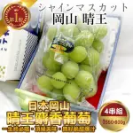 【WANG 蔬果】日本岡山縣晴王麝香葡萄1房X4盒(550-600G/房)