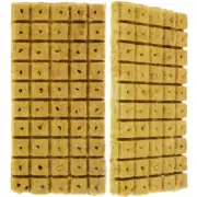 100 Pcs Plug Seedling Block Hydroponic Substrate Gardening Cubes