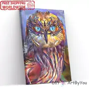 Paint By Numbers Kit Owl Animal Abstract Wall Painting Canvas Kids Acrylic Home