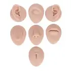 Body Piercing Practice Model Simulation Silicone Ear Eye Nose Mouth Tongue A MNJ