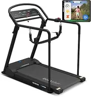 Lifespan Fitness Reformer 2 Safety Rehabilition Treadmill