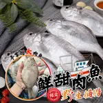 【帥哥魚】🉐限量本港🉐 野生船凍肉魚 刺少肉厚 野生肉魚 煎肉魚 肉鯽仔 肉鯽魚 肉魚 肉仔魚 大肉魚 越南肉魚