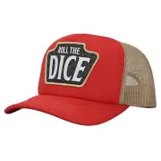 Dungeons & Dragons Roll The Dice Logo And Men's Trucker Precurve Snapback Hat