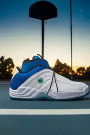 DC x ROKIT Stevie Williams OG Shoes