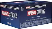 Funko Marvel Collector Corps Subscription Box: Disney+ Original Series - L