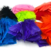 INTRUDER FEATHER PROP HACKLE - Hareline Fly Tying Material Steelhead Salmon NEW!
