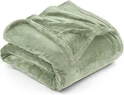 Utopia Bedding Fleece Blanket Twin Size Sage Green 300GSM Luxury Fuzzy Soft Anti-Static Microfiber Bed Blanket (90x66 Inches)