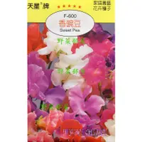 在飛比找蝦皮購物優惠-【萌田種子~花卉種子】Y81 香豌豆Sweet Pea~穗耕