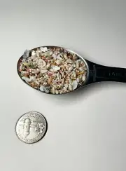 1 Tablespoon MICRO MINI TINY REAL SEASHELLS for crafts & valentines, lot #6