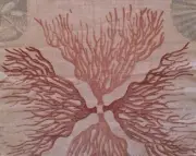 TYLER GRAPHICS Coral Linen Remnant New
