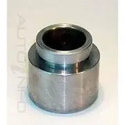 Protex Caliper Piston - 090P0055