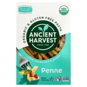 Organic & Gluten Free Pasta, Penne, Corn, Brown Rice & Quinoa, 9.6 oz (272 g)