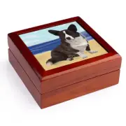 3dRose, Cardigan Welsh Corgi, Jewelry Box