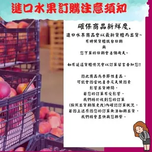 【緁迪水果JDFruit】【日本進口】日本山梨香印麝香葡萄(赤秀)單房禮盒裝(600g+-10%) 免運宅配到家 l 送禮嚴選 l 緁迪水果