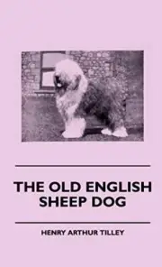 Tilley - Old English Sheep Dog - New hardback or cased book - 28 - T9000z