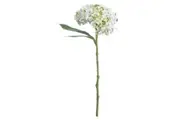 Hill Interiors Artificial Lace Cap Hydrangea Stem (Whiite) (One Size)