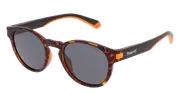 POLAROID-PLD 2124/S-L9G-5021-SUNGLASSES