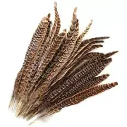 20pcs Natural Pheasant Tails Feather for Hair Hats Crafts Home Wedding Party