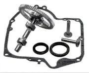 Briggs & Stratton Camshaft 793880 793583 792681 791942 795102 Cam Replacement Kit With 795387 Oil Seal And 697110 Crank Seals - Jxlgv