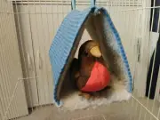 Washable Bird Hammock Tent - Blue Plaid Flannel - Soft Sherpa Lining
