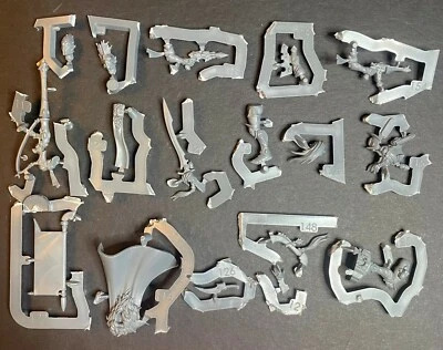 Corsairs Felarch Voidscarred Aeldari Kill Team Nachmund 40k - NoS (x1)