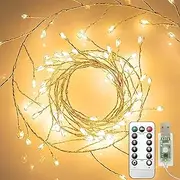 [Clearhill] 2Pack USB Fairy Lights with Remote Control, 10ft/3M 100LED Warm Firecracker Cluster Lights, 8 Modes, Waterproof Copper Wire String Lights for Bedroom, Wedding, DIY Wreath, Garden Decor