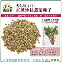 在飛比找Yahoo奇摩購物中心優惠-【綠藝家】大包裝A111.紅脈沙拉菠菜種子32克(約2600