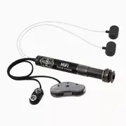 LR Baggs HiFi System With Volume and Tone Control