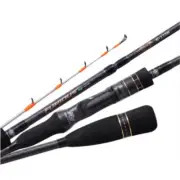 NS BLACKHOLE FURIOUS RS EDITION HAIRTAIL TENYA