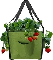 Strawberry Planter Outdoor Strawberry Planting Pots - 5 Gallon Garden Planting Bag with 4 Side Grow Pocket, Non-Woven Fabric Breathable Growing Supports Container for Vegetable, Fruit, Flower (Square)