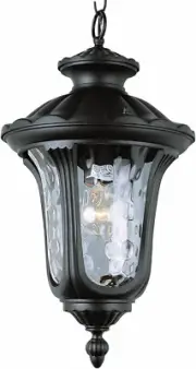 Trans Globe Lighting 5914 RT 20" 1-Light Outdoor Large Hanging Lantern - Black