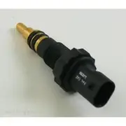 RAE Coolant Temperature Sensor - CS918
