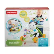 Fisher-Price Learn With Me Zebra Baby Walker Toddler DKH80