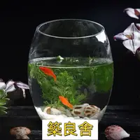 在飛比找樂天市場購物網優惠-開立發票 魚缸 玻璃魚缸 辦公室魚缸 烏龜缸 水族用品創意桌