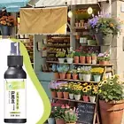1/2/3/4/5Pcs Brazilian Wood Plant Food, Lucky Bamboo Liquid Fertilizer T7L4