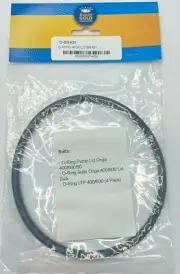 O'Ring Onga Leisuretime LTP Pantera PPP Pool Pump Lid 400/600900 Replacement