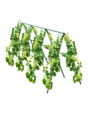 [SOGA] Outdoor Adjustable Garden Rack 120cm in Green