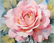 TAOPAOLAB Flower Paint by Numbers Kit for Adults - DIY Watercolor Style Pink Rose Bloom Painting on Canvas 16x20 Inches, Acrylic Paint Set, Suitable for Beginners, Art for Home Decoration or Gifts
